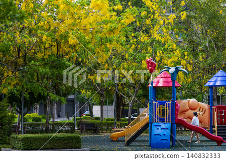 The colorful playground equipment in the city park is surrounded by red phoenix flowers and golden golden shower trees in full bloom. 140832333