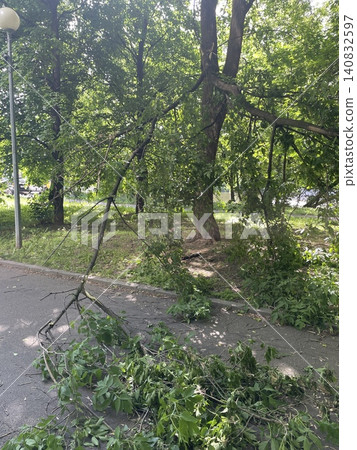 Fallen tree branches block a park pathway during summer, with abundant green foliage background Fallen tree branches block a park pathway during summer, with abundant green foliage background 140832597