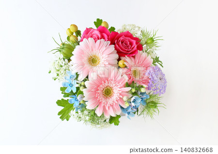 一束亮粉色的非洲菊 一束亮粉色的非洲菊 140832668