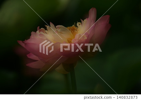 睡眠 140832873