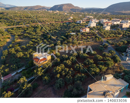 Aerial panoramic view of olive grove plantation in Mediterranean hills Aerial panoramic view of olive grove plantation in Mediterranean hills 140833036