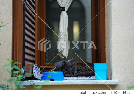 Sleeping Cat Relaxing on a Cozy Windowsill Sleeping Cat Relaxing on a Cozy Windowsill 140833402