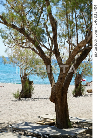 Tranquil Beach Scene with Trees and Empty Sunbeds Tranquil Beach Scene with Trees and Empty Sunbeds 140833404