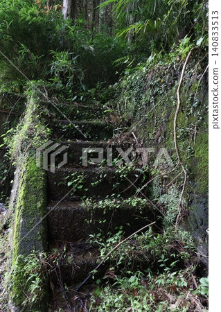 佐賀縣山區長滿青苔的古老階梯 佐賀縣山區長滿青苔的古老階梯 140833513