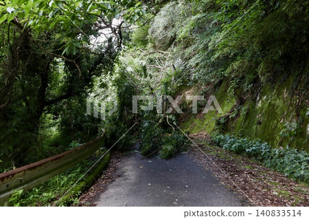 佐賀縣山區道路被倒下的樹木阻斷。 佐賀縣山區道路被倒下的樹木阻斷。 140833514