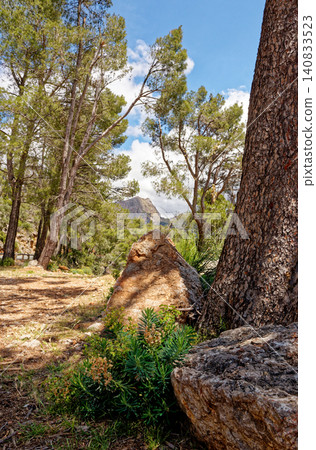 Mountain road to Sa Calobra - Mallorca Mountain road to Sa Calobra - Mallorca 140833523