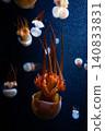 A mysterious swarm of Bizen jellyfish floating in the dark water. 140833831