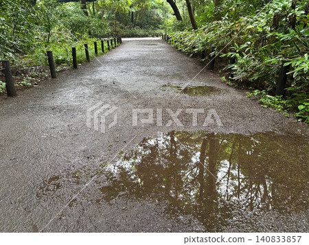A tranquil natural scene: the road after the rain, with greenery reflected in the puddles. A tranquil natural scene: the road after the rain, with greenery reflected in the puddles. 140833857
