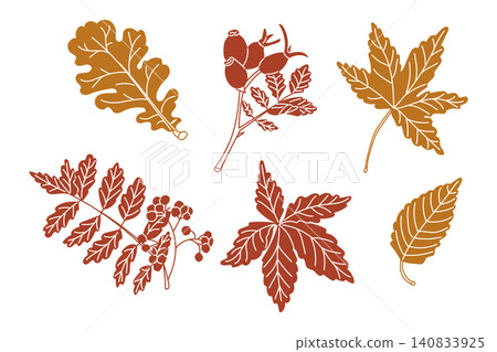 Collection of autumn leaves in various shapes and colors, including oak, maple, and berry branches, arranged artistically on a white background Collection of autumn leaves in various shapes and colors, including oak, maple, and berry branches, arranged artistically on a white background 140833925