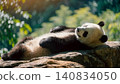 Realistic Adorable giant panda bear sleeping on rock 140834050