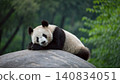 Realistic Adorable giant panda bear sleeping on rock 140834051