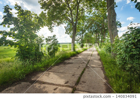 A road made of concrete slabs in the countryside in Poland 140834091