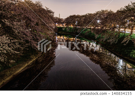 櫻花夜景美得令人窒息,花瓣散落在水面上,優雅地漂浮著。 櫻花夜景美得令人窒息,花瓣散落在水面上,優雅地漂浮著。 140834155