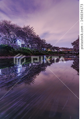 A mystical Japanese nightscape where cherry blossom petals swirl and sparkle on the calm surface of the water. A mystical Japanese nightscape where cherry blossom petals swirl and sparkle on the calm surface of the water. 140834173
