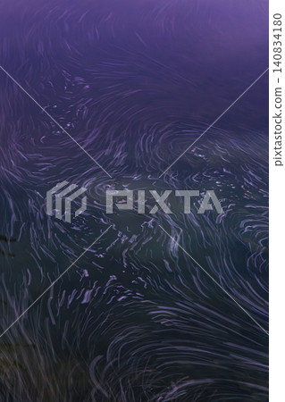 櫻花花瓣漂浮在平靜的水面上，形成一片花海，構成了一個夢幻般的景象。 140834180