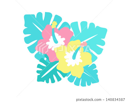 芙蓉花和龜背竹插圖 140834387