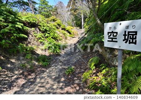 The stone walls and baileys of Ichinomiya Castle in Tokushima City, Awa Province. The stone walls and baileys of Ichinomiya Castle in Tokushima City, Awa Province. 140834609