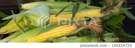 Fresh sweet corn cobs on rustic wood. Whole corn with bright yellow kernels. Organic farm produce for healthy meals 140834729