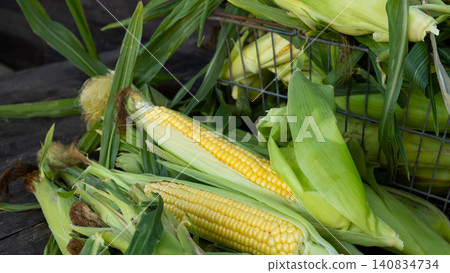 Fresh sweet corn cobs on rustic wood. Whole corn with bright yellow kernels. Organic farm produce for healthy meals 140834734