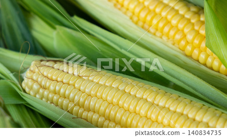 Fresh sweet corn cobs on rustic wood. Whole corn with bright yellow kernels. Organic farm produce for healthy meals Fresh sweet corn cobs on rustic wood. Whole corn with bright yellow kernels. Organic farm produce for healthy meals 140834735