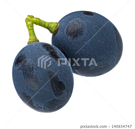 Blue grape berries isolated on white background with clipping path Blue grape berries isolated on white background with clipping path 140834747