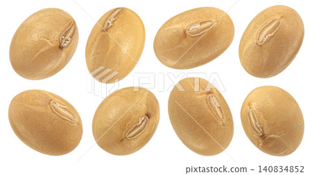 Natural soybean seeds isolated on white background, organic agricultural food ingredient for healthy nutrition Natural soybean seeds isolated on white background, organic agricultural food ingredient for healthy nutrition 140834852