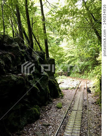 Yakushima Yakushima 140834916
