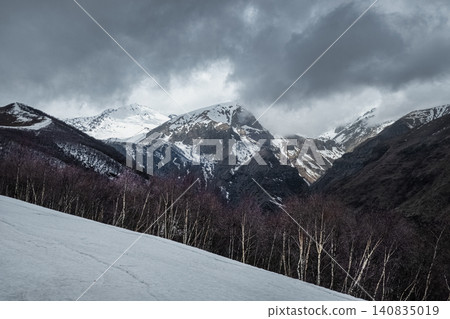 landscape with a snow-covered diagonal slope, a birch forest landscape with a snow-covered diagonal slope, a birch forest 140835019