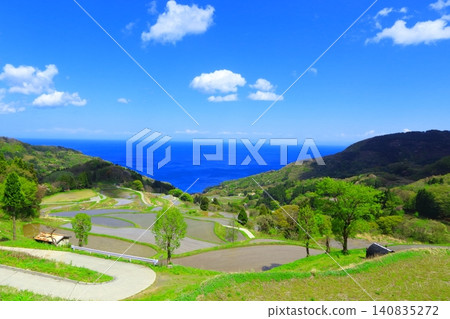 Early summer in Sado: A landscape of terraced rice fields Early summer in Sado: A landscape of terraced rice fields 140835272