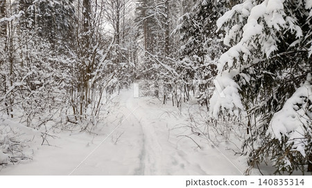 A detailed view of frost-covered branches in a snowy winter woodland. A detailed view of frost-covered branches in a snowy winter woodland. 140835314