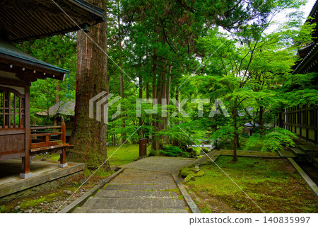 Eiheiji Temple: To the Shrine Hall - Scenery within the temple grounds Eiheiji Temple: To the Shrine Hall - Scenery within the temple grounds 140835997
