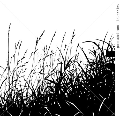 Grass silhouette vector isolated on white background nature design illustration of grass plant pattern greenery artwork Hand drawn. Not AI, vector illustration. Grass silhouette vector isolated on white background nature design illustration of grass plant pattern greenery artwork Hand drawn. Not AI, vector illustration. 140836169