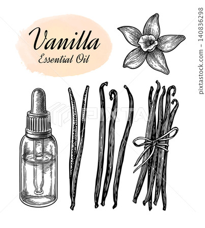 Vanilla spice and essential oil bottle ink sketch. Vanilla spice and essential oil bottle ink sketch. 140836298