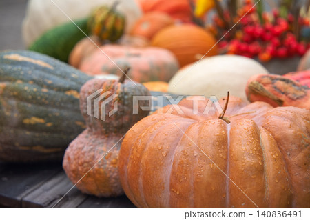 Autumn pumpkins and gourds with water droplets on them Autumn pumpkins and gourds with water droplets on them 140836491