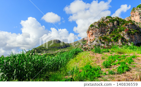 A panoramic view of a lush green highland terrain featuring tall corn stalks and rugged, vegetation-covered rock formations under a bright, sunny sky with scattered clouds A panoramic view of a lush green highland terrain featuring tall corn stalks and rugged, vegetation-covered rock formations under a bright, sunny sky with scattered clouds 140836559