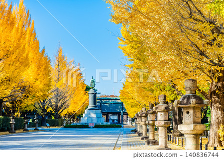 東京靖國神社:銀杏樹閃耀著金色的光芒。 東京靖國神社:銀杏樹閃耀著金色的光芒。 140836744