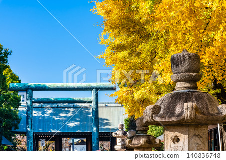 Tokyo's Yasukuni Shrine: Ginkgo trees shining in golden hues. 140836748