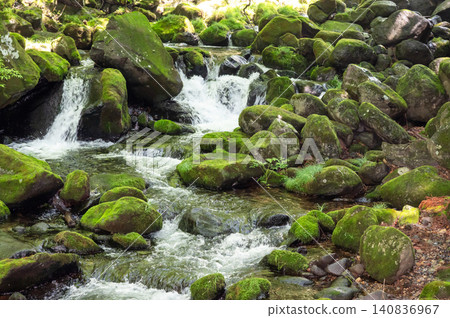 A clear stream flowing through the forest A clear stream flowing through the forest 140836967