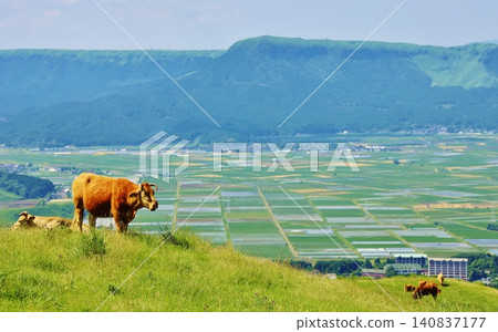 Aso's Akaushi beef and the outer rim of the caldera Aso's Akaushi beef and the outer rim of the caldera 140837177