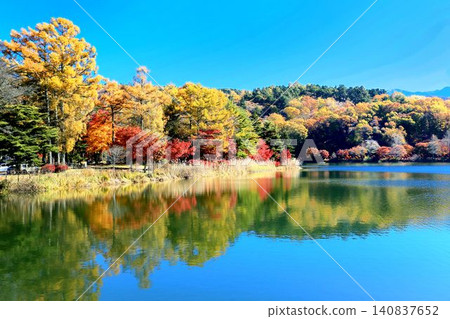 Autumn leaves of Lake Tateshina 140837652