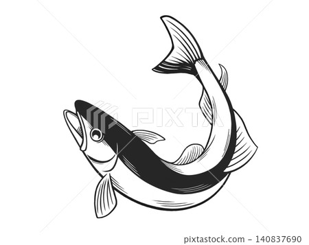 香魚(Ayu)是一種生活在水質清澈的河流中的魚類。 香魚(Ayu)是一種生活在水質清澈的河流中的魚類。 140837690