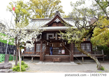 Kumamoto City: Kumamoto Grand Shrine main hall and fresh greenery Kumamoto City: Kumamoto Grand Shrine main hall and fresh greenery 140837749