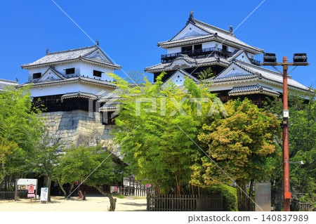 [愛媛縣]松山城（現存天守閣12座） 140837989