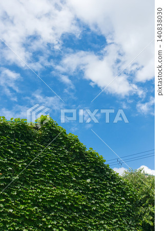 A roof covered in ivy and a clear blue sky of early summer. A vibrant scene I found on the approach to Ishikiri Shrine. A roof covered in ivy and a clear blue sky of early summer. A vibrant scene I found on the approach to Ishikiri Shrine. 140838030