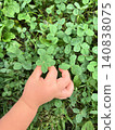 A child's hand that found a four-leaf clover | A natural clover field with water droplets symbolizing good fortune, hope, and discovery. 140838075