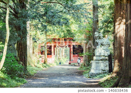 [長野市戶隱] 戶隱神社內殿：瑞神門與杉樹大道的景色。 140838436