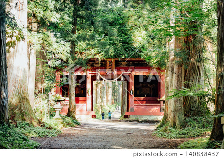 [Togakushi, Nagano City] Togakushi Shrine Inner Sanctuary: The view of the Zuishinmon Gate and the cedar avenue. 140838437