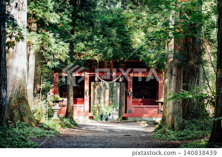 [Togakushi, Nagano City] Togakushi Shrine Inner Sanctuary: The view of the Zuishinmon Gate and the cedar avenue. 140838439