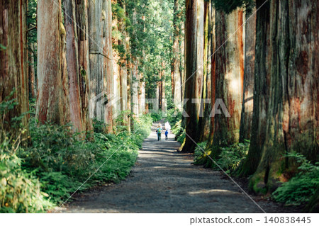 [Togakushi, Nagano City] Scenery of the cedar-lined approach to Togakushi Shrine's inner sanctuary. 140838445