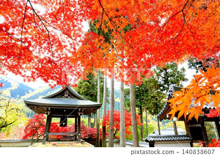 Autumn leaves of Kiyomizudera Autumn leaves of Kiyomizudera 140838607
